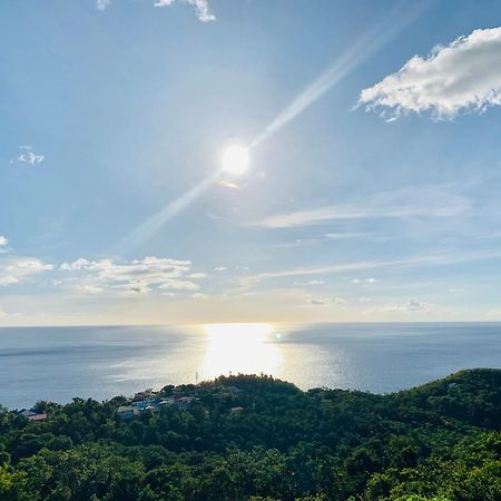 Paradis Au Soleil, Vue Panoramique Sur Mer Буйянт Екстериор снимка